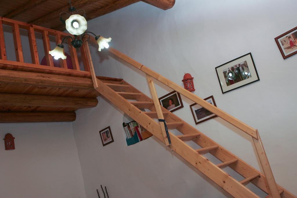 Horta Do Ze Miguel Villa Monchique Dış mekan fotoğraf